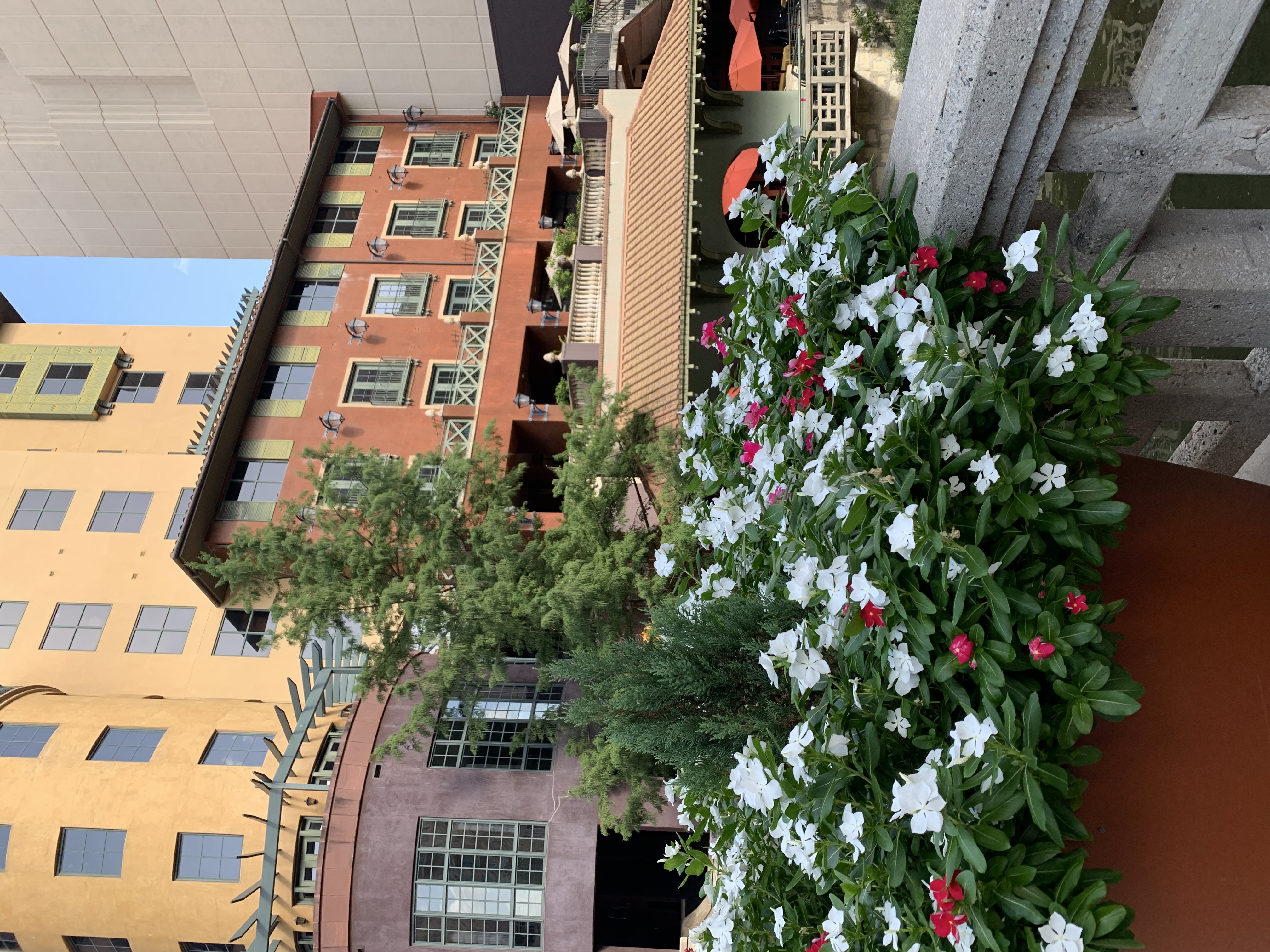 Hotel Valencia Riverwalk | San Antonio